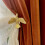 Modern Curtain Holdbacks Metal Wall Mount Curtain Hooks-bird 7