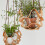 Leather Planter Hanging Basket Multi-Level Indoor-Yellow S 6