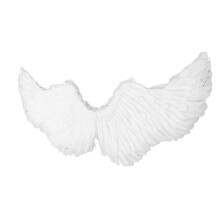 Kids Feather Cardboard Wing Props Cosplay Costume for Halloween S