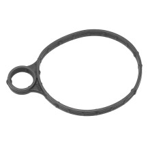 Land Rover Evoque LR039593 Vakuumpumpendichtung Austausch NEU