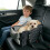 Comfortable Animal Vehicle Seat defender Removable Outer Cover 4