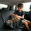 Supportive Padding Travel area For Canines And Felines Including 6