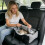 Supportive Padding Travel area For Canines And Felines Including 7
