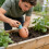 Clay Automatic Watering Solution 4 Pack For Healthy Vegetation 4