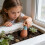 Clay Automatic Watering Solution 4 Pack For Healthy Vegetation 5