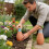 Clay Automatic Watering Solution 4 Pack For Healthy Vegetation 6