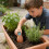 Clay Automatic Watering Solution 4 Pack For Healthy Vegetation 7