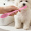 Brosse à dents 2 en 1 pour animaux de compagnie, pour-Violet 5