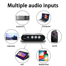 LDZS Black Car Amplifier HiFi Home Audio Multi-Function Speaker Professional Fever for Car (Adapter Included) US PLUG