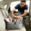 Transport Friendly Pet Bed For Movement Including-Green 5