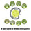 8 Pattern Adjustable 360 Rotating Garden Sprinkler With-2Pcs 5