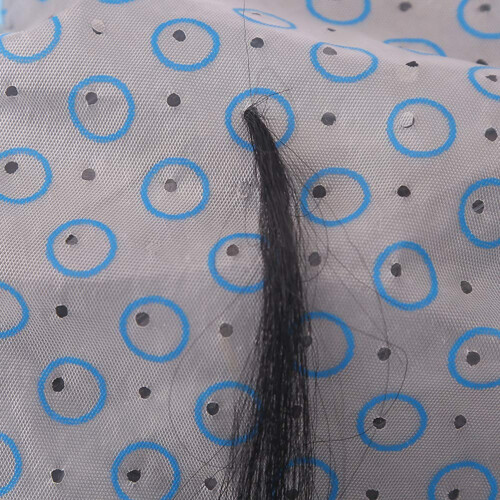 Highlighting Cap with Hook DualLayer PE for Precise Sectioning Skyblue Salon and Home Use 2