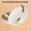 Double Layer Retainer Case with Secure Lid for Dentures and Braces Storage Travel Size 3