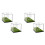 4X  Display Box Acrylic  Stand Transparent Display Box Square Display Box with Green Base 1