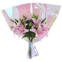 20 Stuks 59 Cm X 57 Cm Cellofaan Inpakpapier Iriserende Film Cadeaupapier Regenboog Bloem Inpakpapier Kom