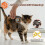 Pet Micro-Chip Reader,3-In-1(2.4GHz Wireless++USB) Animal Universal Microchip-Tag Reader Scanner ,Q40 3