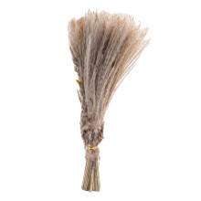 55Pcs Pampas Grass Bouquet,Natural Dried Pampas Grass,Fluffy Stem Bouquet for Home Decor,Wedding Arrangements,Boho Decor