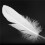 600Pcs White Feathers   for Party Hat Crafts Wedding Decoration 15-22cm 7