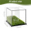 4X  Display Box Acrylic  Stand Transparent Display Box Square Display Box with Green Base 7