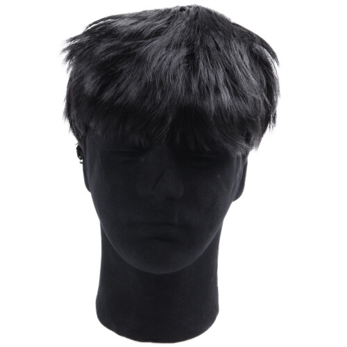 2X Mens Kurze Gerade Schwarze Alltag Volle Perücke