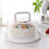 Cake Transport Box with Lid and Handle Cake Box Cup Cake Container with Handle Cake Transport Container 2