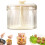 Durchscheinender Fleischbällchen-Maker, Manueller Fleischbällchen-Maker, 5-Bällchen-Fleischbällchen-Maker, Küchen-Fleischbällchen-Form, 4