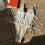 https://detail.1688.com/offer/807885879669.html?_t=1767-Orange S 2