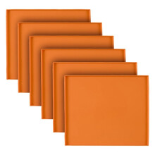 Silicone Dehydrator Trays for Making Fruit Leather, Non Stick Dehydrator Trays with Raised Reusable Silicone Mats