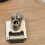 New Fixed Angle Engraving Seal Cutting Knife Sharpener Core Carving Model Wood Carving Knife Adjustable Angle Fixed 2