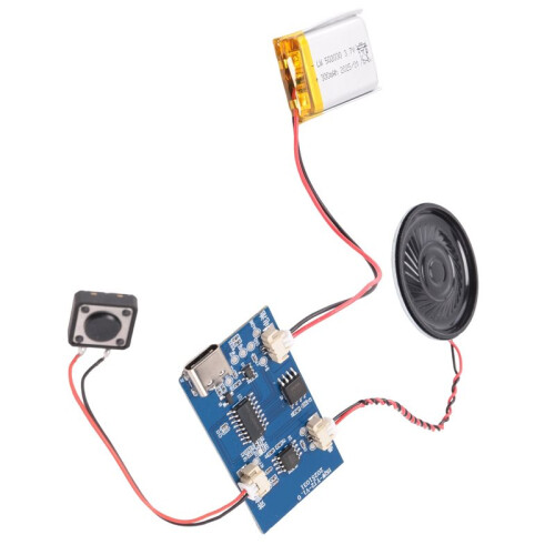 2X Módulo de Sonido Programable: Chip con Altavoz para Grabar Música y Voz. 2