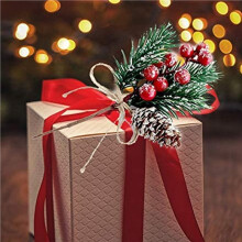 Red Berry Stems Pine Branches Evergreen Christmas Berries Decor 32 PCS Artificial Pine Cones Branch Wreath Pick