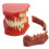 Dental Implant Model with Removable Teeth and Visible Interface for Kids and Adults Study Training 1