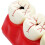 Dental Caries Model with Clear Caries Progression View for Patient Education and Classroom Training 2