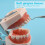 32 Tooth Gear Model with Completely Detachable Teeth for Teaching and Practice Includes Screwdriver 2