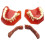Dental Implant Model with Removable Teeth and Visible Interface for Kids and Adults Study Training 4