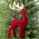 2 White Christmas Pendant Christmas Tree Decorative Deer Ornaments White 5
