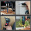 10pcs Tile Bit  Spade Drill Bit Set High Hardness Eccentric Drill Cordless Drill Power Tools Accessories 8mm 4