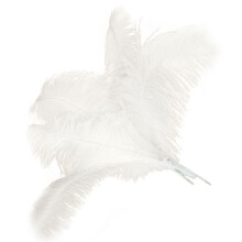 200 Peças de Penas de Avestruz Naturais para Decoração de Festa de Casamento Branco 45-50 cm