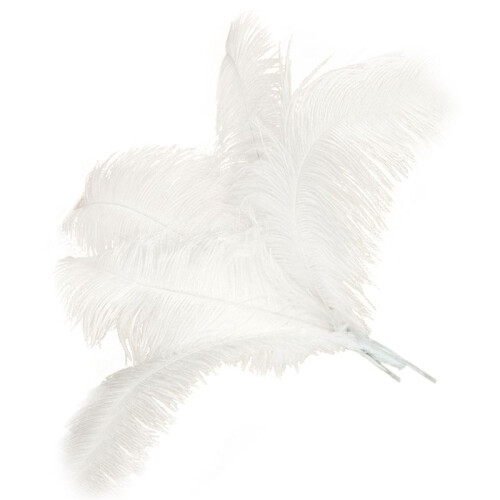 200 Pcs Natural Ostrich Feathers Wedding Party Decoration White 45-50cm 2