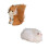 Simulated Squirrel Gift Animal Model Holiday Decoration 1