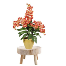 2X Taburete de Madera, Soporte para Plantas, Taburete Decorativo de Madera para Plantas, Soporte para Bonsái para Interior y Exterior, Hogar,