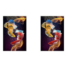 2X Diamond Painting Full Circle Diamond Kit Rhinestone Picture Art Home Door Decoration (Koi)