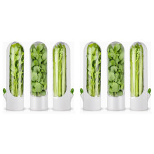 6 PièCes ÉConomiseur D'Herbes pour RéFrigéRateur, Conservation D'Herbes FraîChes pour RéFrigéRateur, Stockage D'Herbes pour Coriandre, Persil,