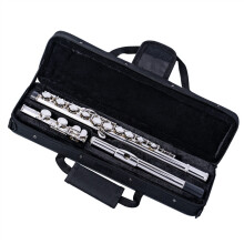 Student C Flute Nickel Silver Plated with Case and Accessories for Beginners and School Band