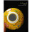 Porcelain Tea Strainer Tea Utensils for Single Cup Effective Ceramic Tea Accessories Infuser 5