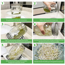 8 Pack Stainless Steel Sprouting Jar Lid for Wide and Wide Mouth Mason Jar for Growing Sprouts