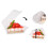 300Pcs Triangle Cheesecake Boxes Slice Cake Box Triangle Pie Holders Cake Boxes for Bakery Party Wedding 5