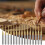 20 Pcs 1/8 Inch 1mm End Mill Bits Titanium Coat Carbide Engraving Milling Cutter CNC Router Bits for PCB Machine 2