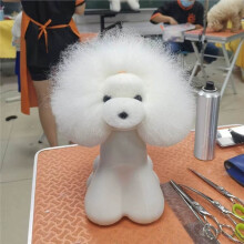 Teddy Pet Simulated Hair Fake Dog Model Beautyticer Practice Cutting Dog Hair Dog Body Wig Pet Triming Study