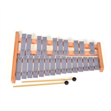 25 Tone Aluminum Xylophone Glockenspiel with Wide Tonal Range and Bright Bell Tone for Adults and Kids
